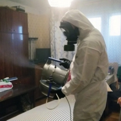 Дезинфекция от клопов в Старой Купавне